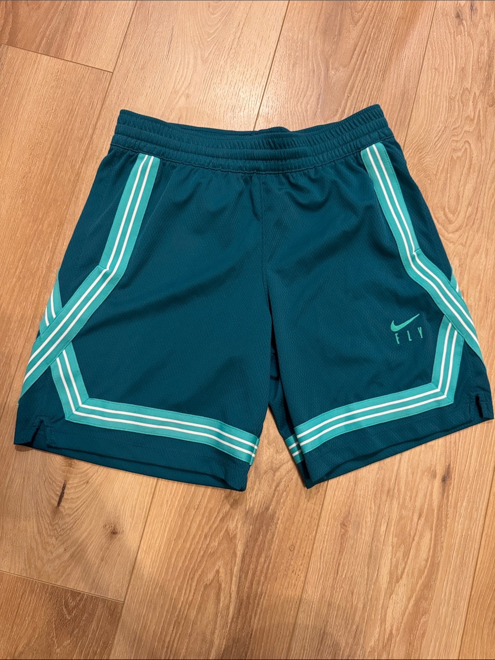 Nike Boys Teal Athletic Shorts with Mint Stripe Accents